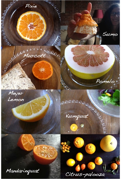Citrus-palooza line-up