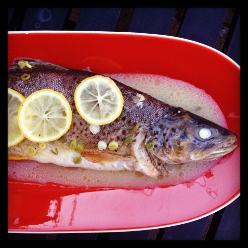 Grilled Trout